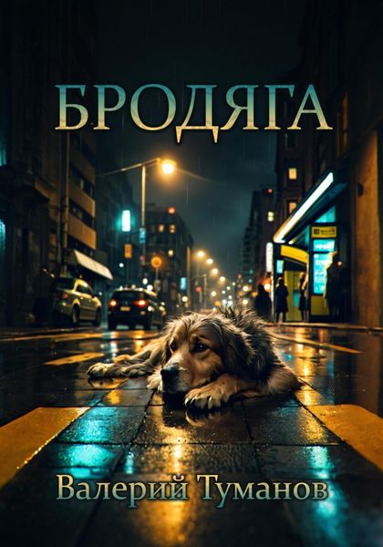 Обложка книги  «Бродяга»