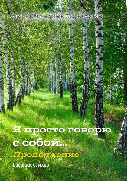 Обложка книги «Я просто говорю с собой… Продолжение»