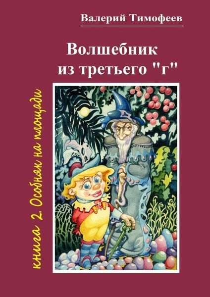 Обложка книги  «Волшебник из третьего «г». Книга 2. Особняк на площади»