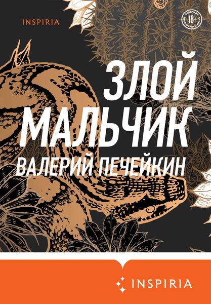 Обложка книги «Злой мальчик»