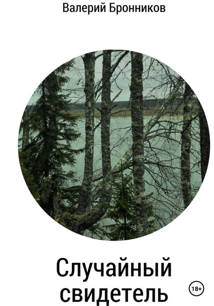 Обложка книги «Случайный свидетель»