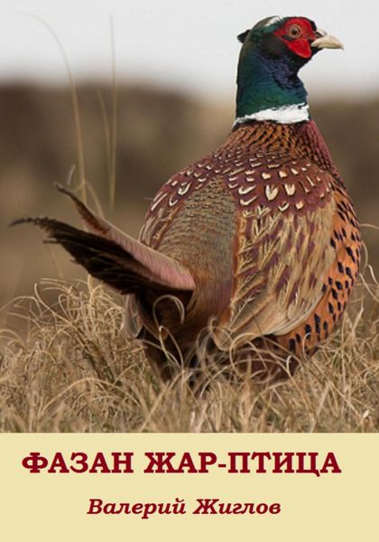 Обложка книги  «Фазан жар-птица»