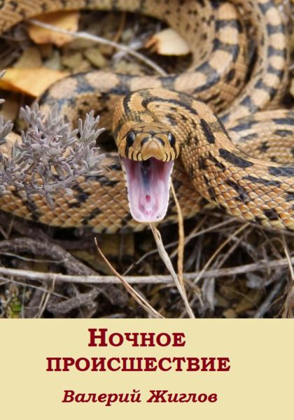 Обложка книги  «Ночное происшествие»