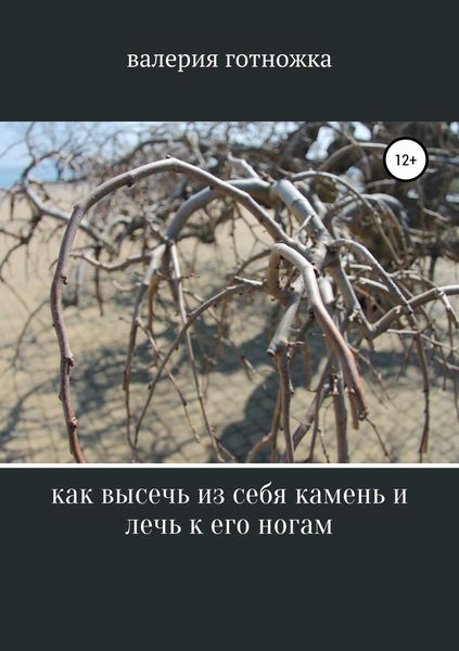 Обложка книги  «Как высечь из себя камень и лечь к его ногам»