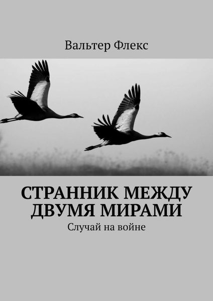 Обложка книги  «Странник между двумя мирами. Случай на войне»