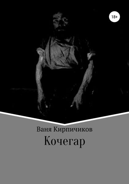 Обложка книги  «Кочегар»