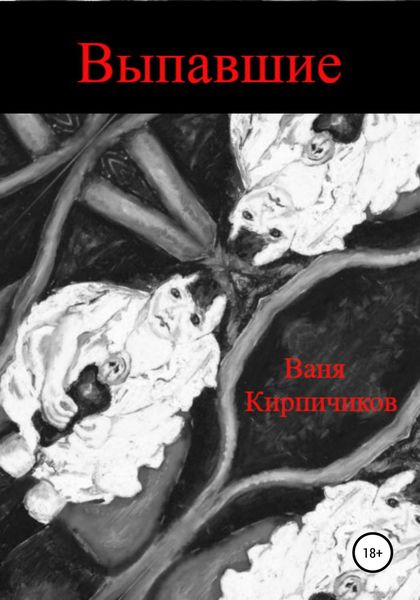 Обложка книги  «Выпавшие»