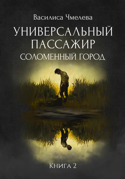 Обложка книги «Универсальный пассажир. Книга 2. Соломенный город»