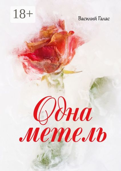 Обложка книги  «Одна метель»