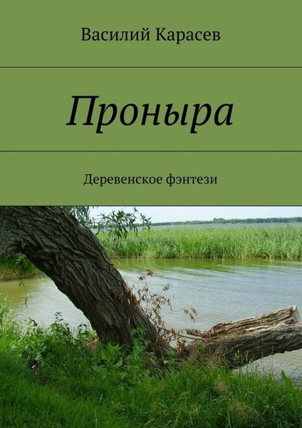 Обложка книги «Проныра. Деревенское фэнтези»