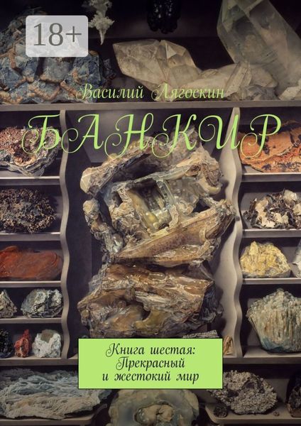 Обложка книги «Банкир. Книга шестая: Прекрасный и жестокий мир»