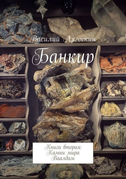Обложка книги «Банкир. Книга вторая: Камни мира Ваалдам»
