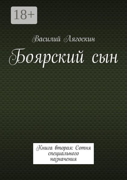 Обложка книги  «Боярский сын. Книга вторая: Сотня специального назначения»