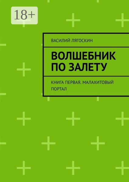 Обложка книги «Волшебник по залету. Книга первая. Малахитовый портал»