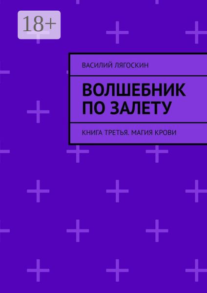Обложка книги «Волшебник по залету. Книга третья. Магия крови»