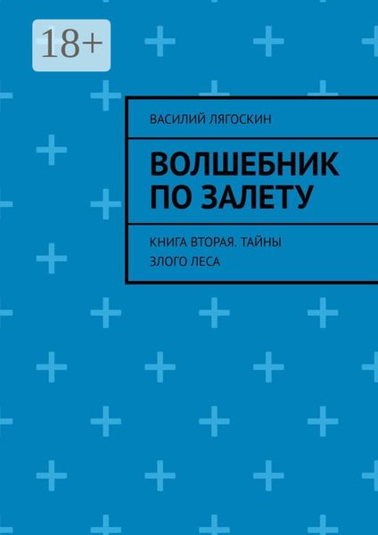 Обложка книги «Волшебник по залету. Книга вторая. Тайны Злого Леса»