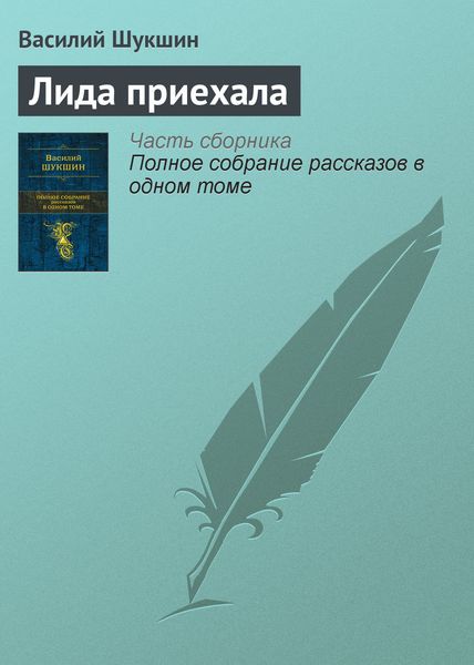 Обложка книги «Лида приехала»