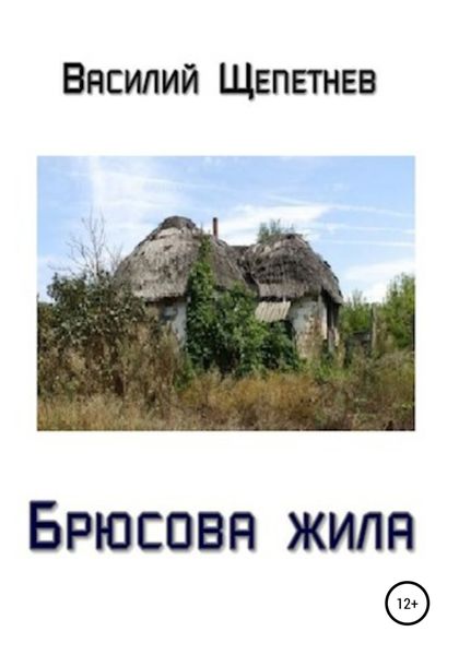 Обложка книги  «Брюсова жила»