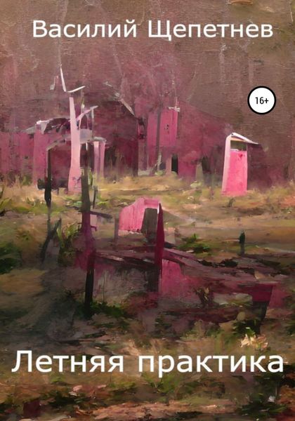 Обложка книги  «Летняя практика»