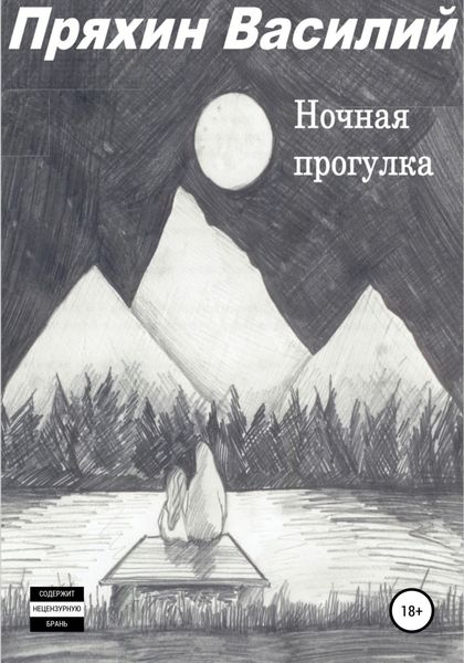 Обложка книги  «Ночная прогулка»