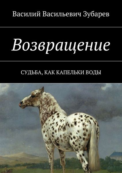 Обложка книги «Возвращение. Судьба, как капельки воды»