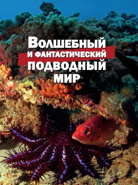 Обложка книги  «Волшебный и фантастический подводный мир»