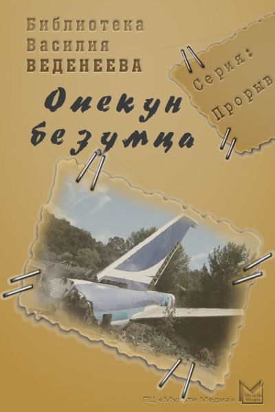 Обложка книги  «Опекун безумца»