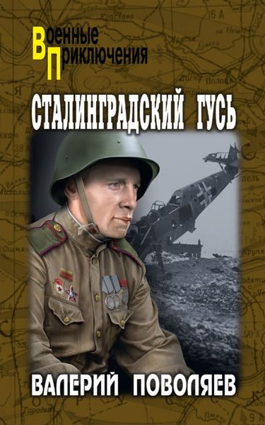 Обложка книги  «Сталинградский гусь»