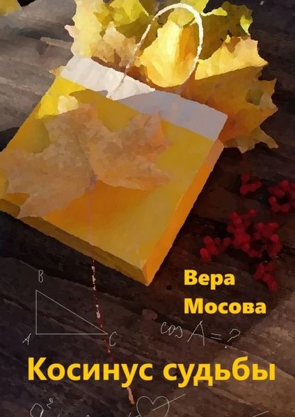 Обложка книги  «Косинус судьбы»