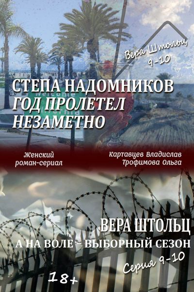 Обложка книги  «Степа Надомников. Жизнь на чужбине. Год пролетел незаметно. Вера Штольц. А на воле – выборный сезон. Серия 9–10»