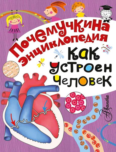 Обложка книги «Как устроен человек»