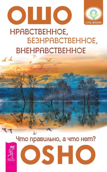 Обложка книги  «Нравственное, безнравственное, вненравственное. Что правильно, а что нет?»