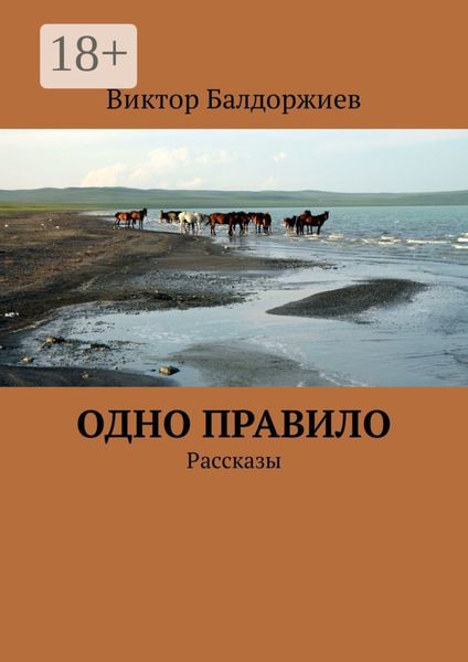 Обложка книги «Одно правило. Рассказы»