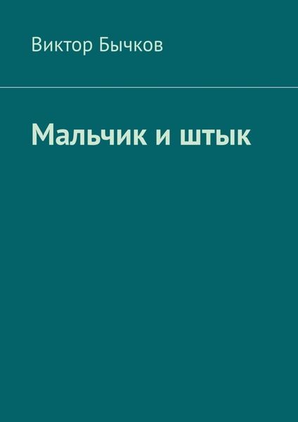 Обложка книги  «Мальчик и штык»