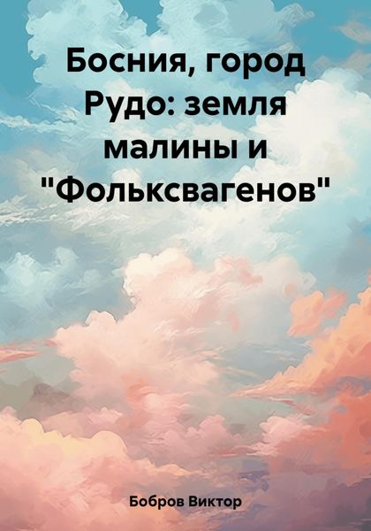 Обложка книги  «Босния, город Рудо: земля малины и «Фольксвагенов»»
