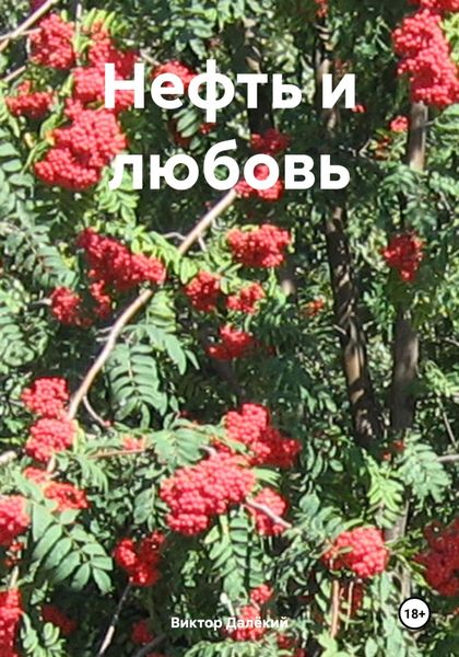Обложка книги  «Нефть и любовь»
