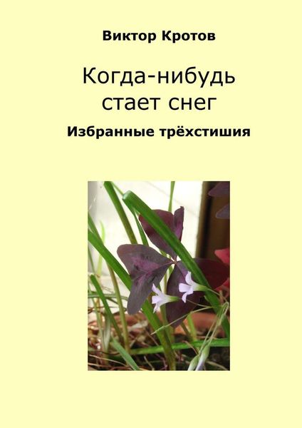 Обложка книги  «Когда-нибудь стает снег. Избранные трёхстишия»