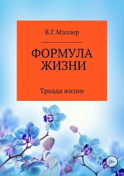 Обложка книги  «Формула жизни»
