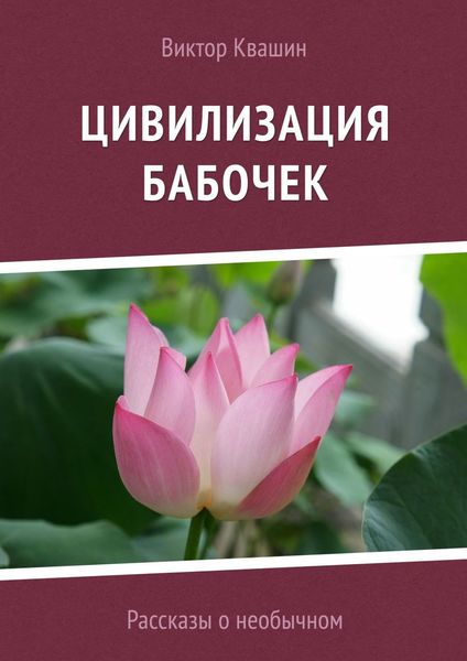Обложка книги «Цивилизация бабочек. Рассказы о необычном»