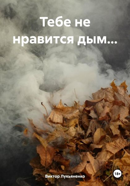 Обложка книги  «Тебе не нравится дым…»