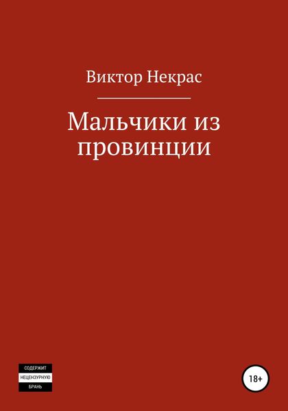 Обложка книги  «Мальчики из провинции»
