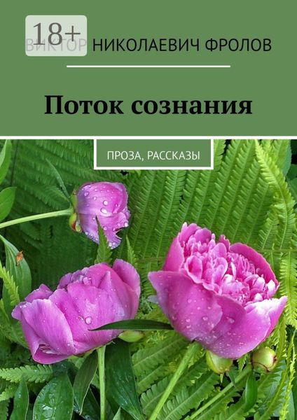 Обложка книги «Поток сознания. Проза, рассказы»