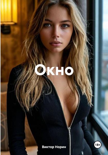 Обложка книги  «Окно»