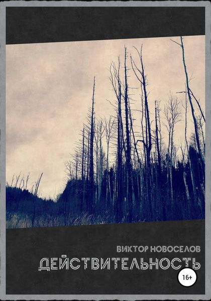 Обложка книги «Действительность»
