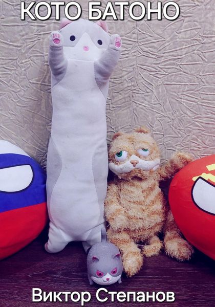 Обложка книги «Кото Батоно»