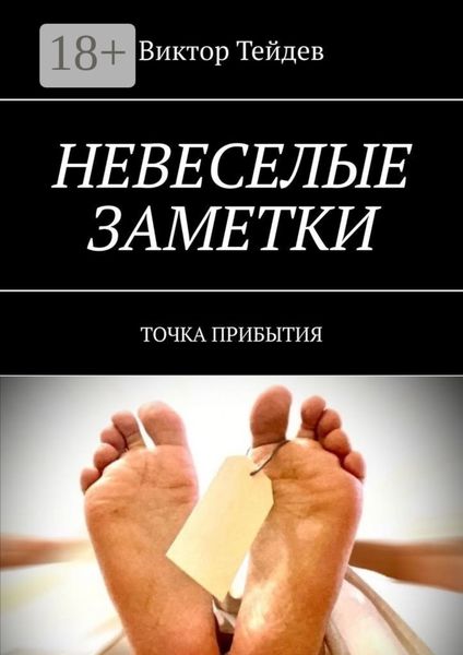 Обложка книги  «Невеселые заметки. Точка прибытия»