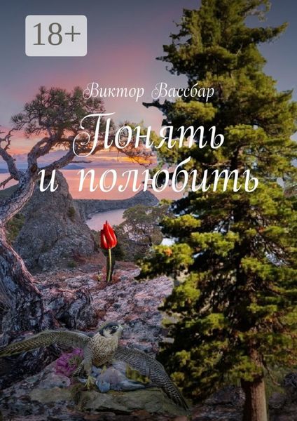 Обложка книги  «Понять и полюбить»