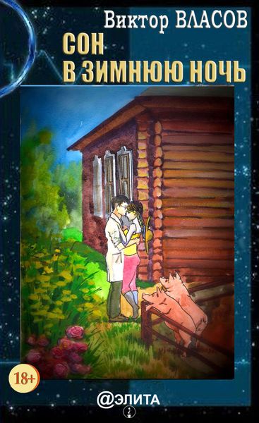 Обложка книги «Сон в зимнюю ночь»