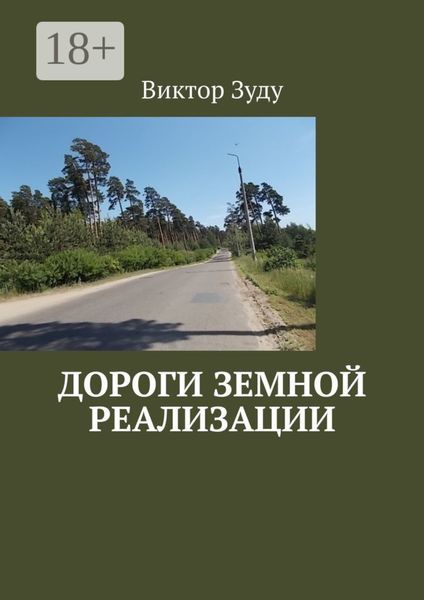 Обложка книги  «Дороги земной реализации»