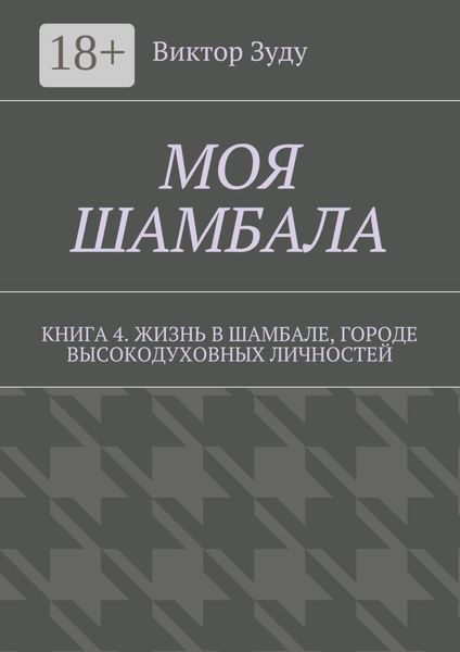 Обложка книги «Моя шамбала. Книга 4. Жизнь в шамбале, городе высокодуховных личностей»